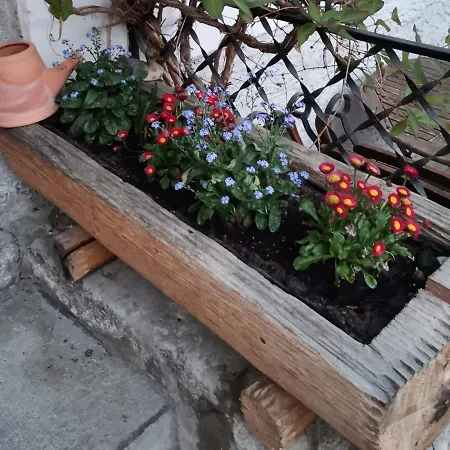 Oda ve Kahvaltı Leopoldine *