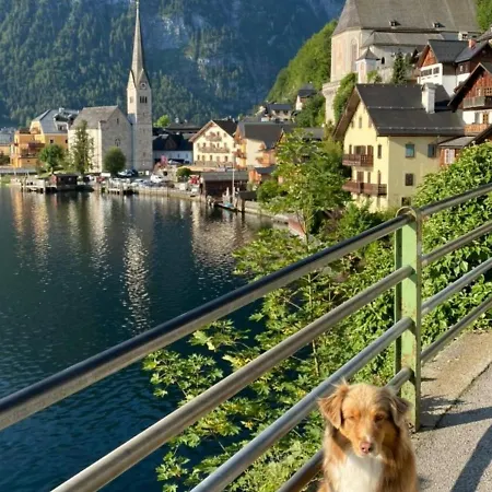Cafe Leopoldine Oda ve Kahvaltı Hallstatt
