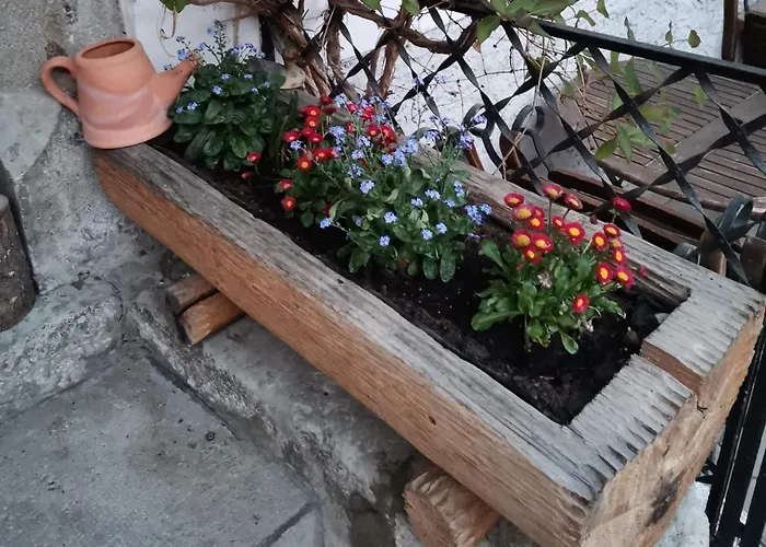 Bed & Breakfast Pension Leopoldine *